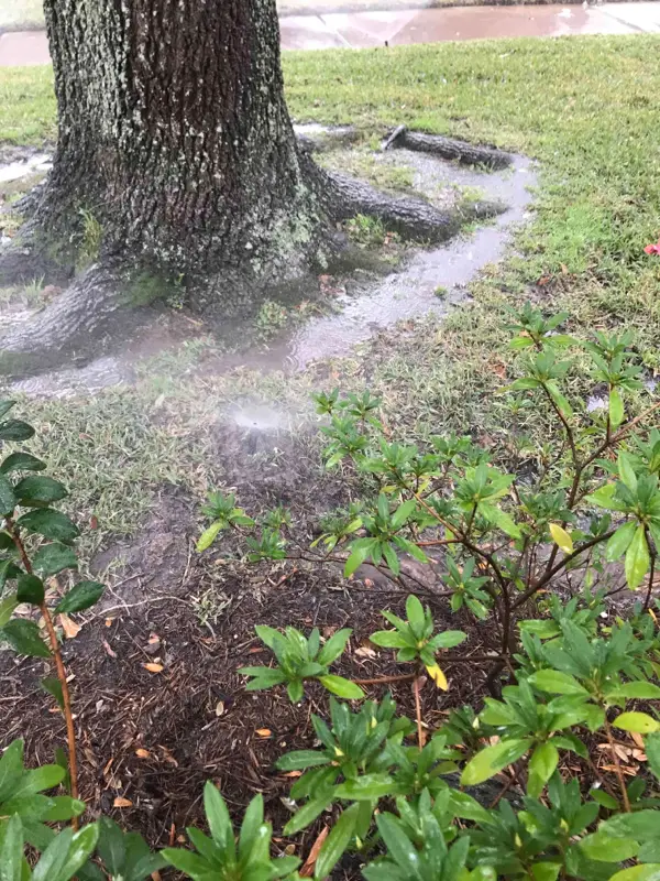 sprinkler head broken